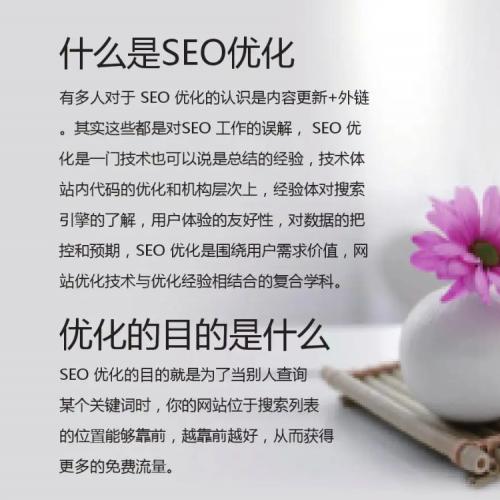 网站seo优化，人工手工白帽seo，找快排的勿扰