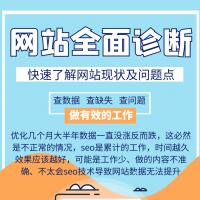 网站诊断（网页、内容、seo标签、外链、域名等全面诊断）